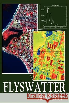 Flyswatter Bob Porter 9780595212248