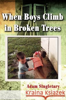 When Boys Climb in Broken Trees Adam L. Singletary 9780595216925 Writers Club Press