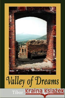 Valley of Dreams Tibor Vajda 9780595217885