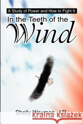 In the Teeth of the Wind: A Study of Power and How to Fight It Waxman, Shelly 9780595220175 Writer's Showcase Press