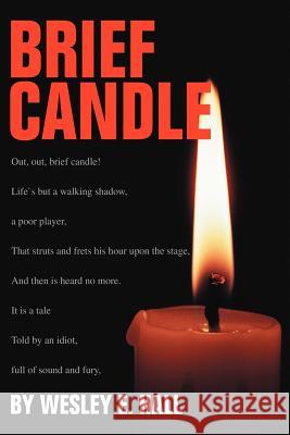 Brief Candle Wesley E. Hall 9780595274413