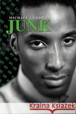 Junk Michael Goodwin 9780595276820 iUniverse