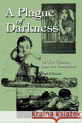 A Plague of Darkness: Or The Unseen and the Unseeable Payack, Paul Jj 9780595289745 iUniverse