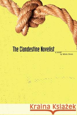 The Clandestine Novelist Mitch Evich 9780595295715