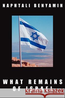 What Remains of Israel Naphtali Benyamin 9780595296248 iUniverse