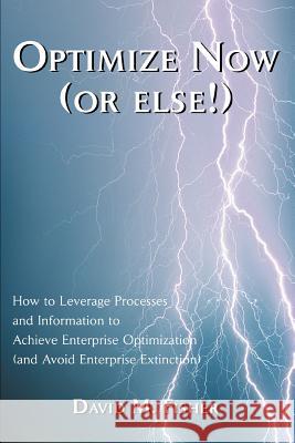 Optimize Now (or else!): How to Leverage Processes and Information to Achieve Enterprise Optimization (and Avoid Enterprise Extinction) Fisher, David M. 9780595298372 iUniverse