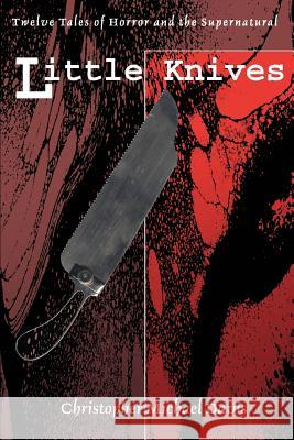 Little Knives: Twelve Tales of Horror and the Supernatural Davis, Christopher Michael 9780595319657 iUniverse