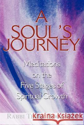 A Soul's Journey: Meditations on the Five Stages of Spiritual Growth Bookman, Rabbi Terry 9780595326341 iUniverse