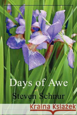 Days of Awe Steven Schnur 9780595332489 iUniverse