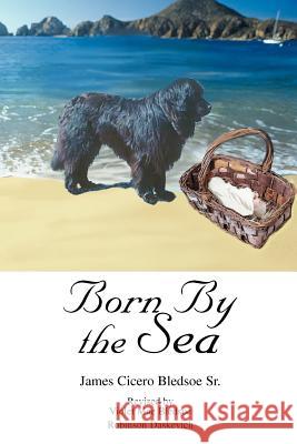 Born By the Sea Violet Mae Bledsoe Robinson Daskevich 9780595334322 iUniverse