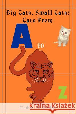Big Cats, Small Cats: Cats From 'A' to 'Z' Smith, Calvin N. 9780595337736