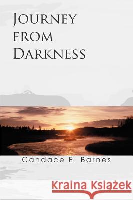 Journey from Darkness Candace E. Barnes 9780595340514 iUniverse