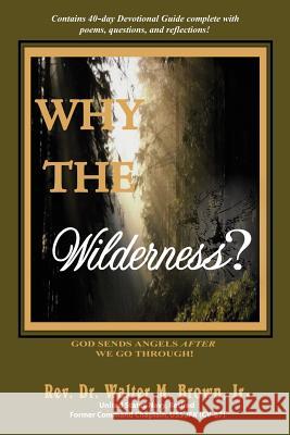 Why the Wilderness?: God Sends Angels After We Go Through! Brown, Walter M., Jr. 9780595366002 iUniverse