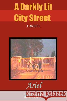 A Darkly Lit City Street Ariel Briton 9780595402953