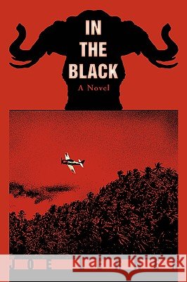 In the Black Joe Lerner 9780595407149