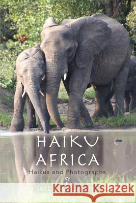 Haiku Africa: Haikus and Photographs Goldstein, Joel H. 9780595408665 iUniverse