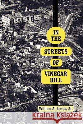 In The Streets Of Vinegar Hill William A James, Sr 9780595425501