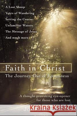 Faith in Christ: The Journey Out of Loneliness Sgro, Joseph 9780595428366