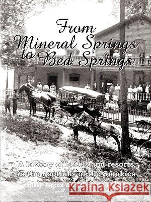 From Mineral Springs to Bed Springs : A History of Hotels and Resorts in the Foothills of the Smokies Missy Tipton Paulette Ledbetter 9780595454570 