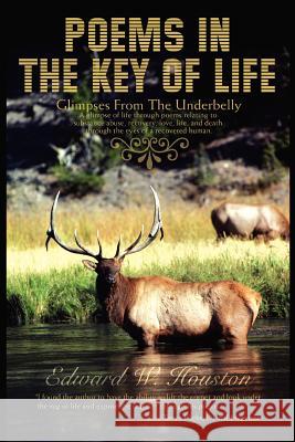 Poems In The Key Of Life: Glimpses From The Underbelly Houston, Edward W. 9780595468850