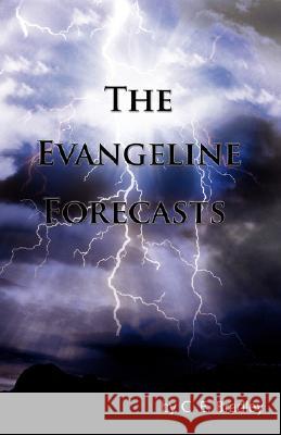 The Evangeline Forecasts C. E. Bradley 9780595491513 iUniverse