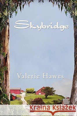 Skybridge Valerie Hawes 9780595494484