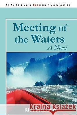 Meeting of the Waters Kim McLarin 9780595531691 iUniverse.com