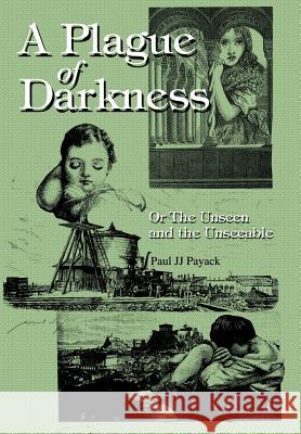 A Plague of Darkness: Or The Unseen and the Unseeable Payack, Paul Jj 9780595659487 iUniverse