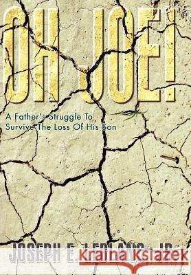 Oh Joe!: A Father's Struggle To Survive The Loss Of His Son LeBlanc, Joseph E., Jr. 9780595660322