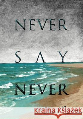 Never Say Never David Petersen 9780595662760 iUniverse