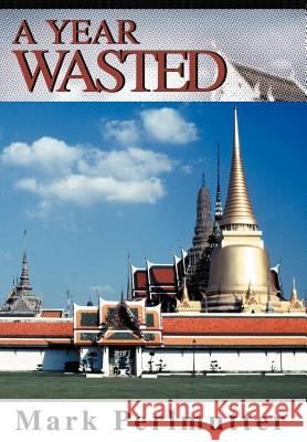 A Year Wasted Mark Perlmutter 9780595664344
