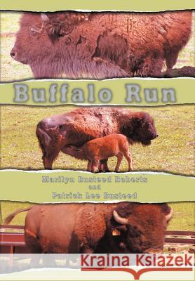 Buffalo Run Marilyn Busteed Roberts Patrick Lee Busteed 9780595666744