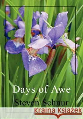 Days of Awe Steven Schnur 9780595667932 iUniverse