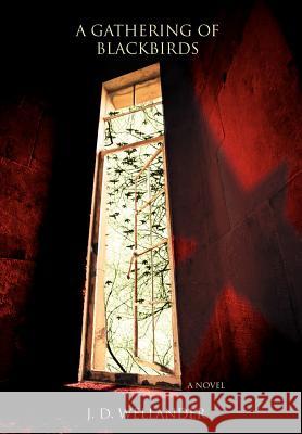 A Gathering Of Blackbirds J. D. Wellander 9780595676927 iUniverse