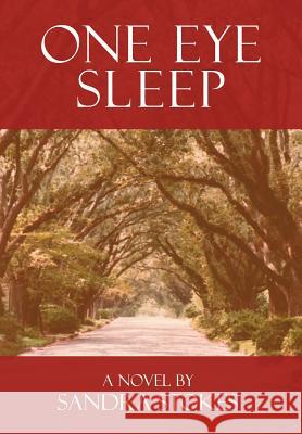 One Eye Sleep Sandra Stokes 9780595678419 iUniverse