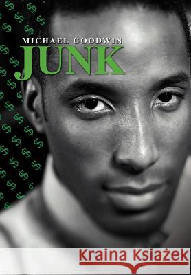 Junk Michael Goodwin 9780595749454 iUniverse