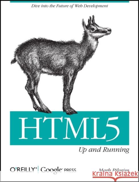Html5: Up and Running: Dive Into the Future of Web Development Pilgrim, Mark 9780596806026 0