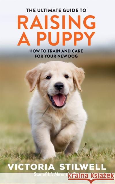 The Ultimate Guide to Raising a Puppy Victoria Stilwell 9780600636502 Octopus Publishing Group