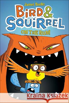 Bird & Squirrel on the Run James Burks 9780606262118 Turtleback Books