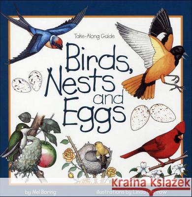 Birds, Nests, and Eggs Mel Boring Linda Garrow 9780613243728