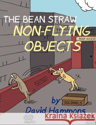 The Bean Straw: Non-Flying Objects David Hammons 9780615163499