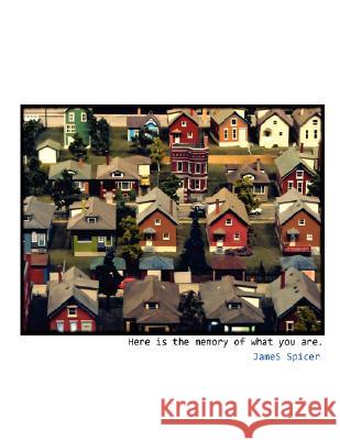 Here is the Memory of What You are James Spicer 9780615180090 Gallery Hidden Press