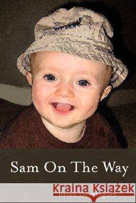 Sam On The Way Brian Dominguez 9780615187594