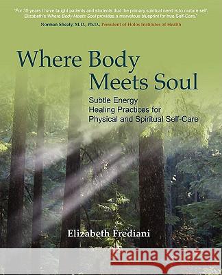 Where Body Meets Soul: Subtle Energy Healing Practices for Physical and Spiritual Self-Care Elizabeth Rose Frediani 9780615225951 Elizabeth Frediani