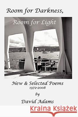 Room for Darkness, Room for Light David Adams 9780615231983 Blue Shale Books