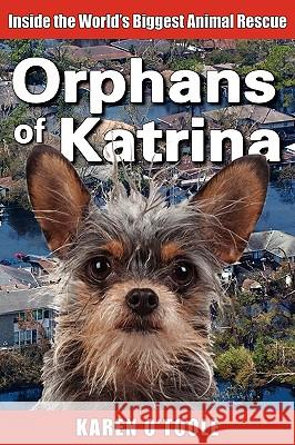 Orphans of Katrina O'Toole, Karen 9780615329161 Give a Dog a Bone Press