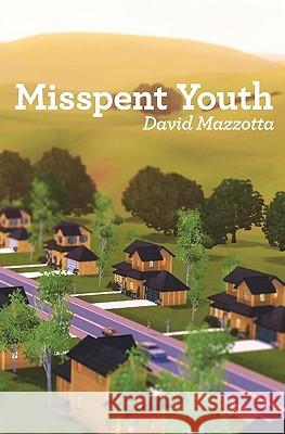 Misspent Youth David Mazzotta 9780615434216