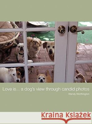 Love Is...a Dog's View Through Candid Photos Wendy Jill Worthington 9780615453811 Anything for Money