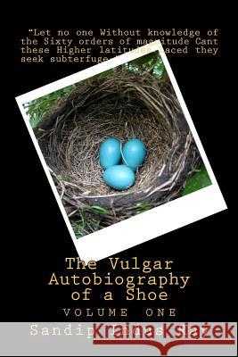 The Vulgar Autobiography of a Shoe: volume one Ray, Sandip Indus 9780615504957 Prospero's Books