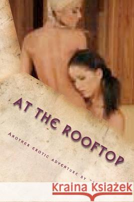 At the Rooftop: A Weekend Adventure in Sexual Pleasure Sweeney Brendan J J. Erotica 9780615541143